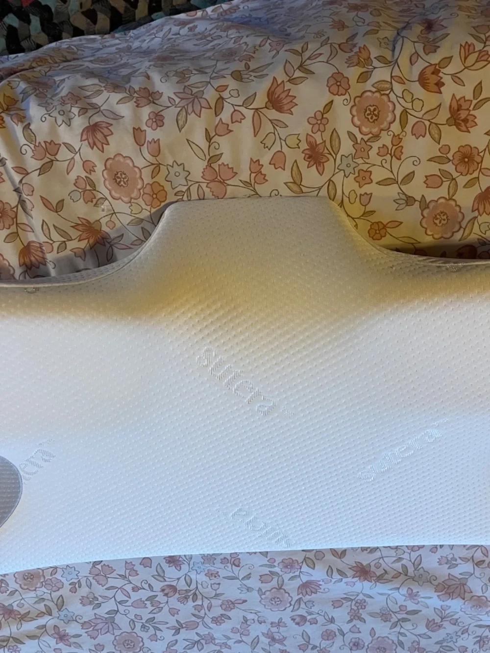 Pair of Sutera Dream Deep Contour Memory Foam Pillows